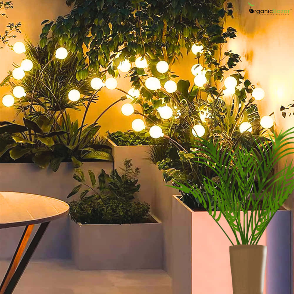 Małe lampki solarne wbijane w ziemię przy rabatach kwiatowych nocą