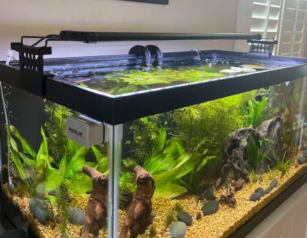 Seria lamp LED montowanych nad akwarium z regulacją intensywności światła